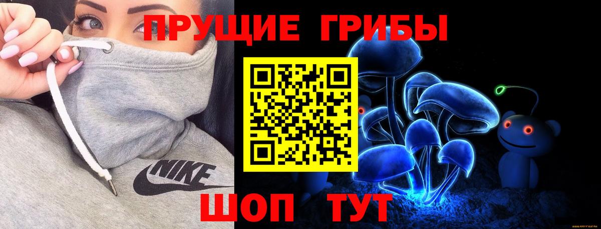 Туймазы  Псилоцибиновые грибы Cubensis  Вход с VPN  Галлюциногенные грибы мухоморы 