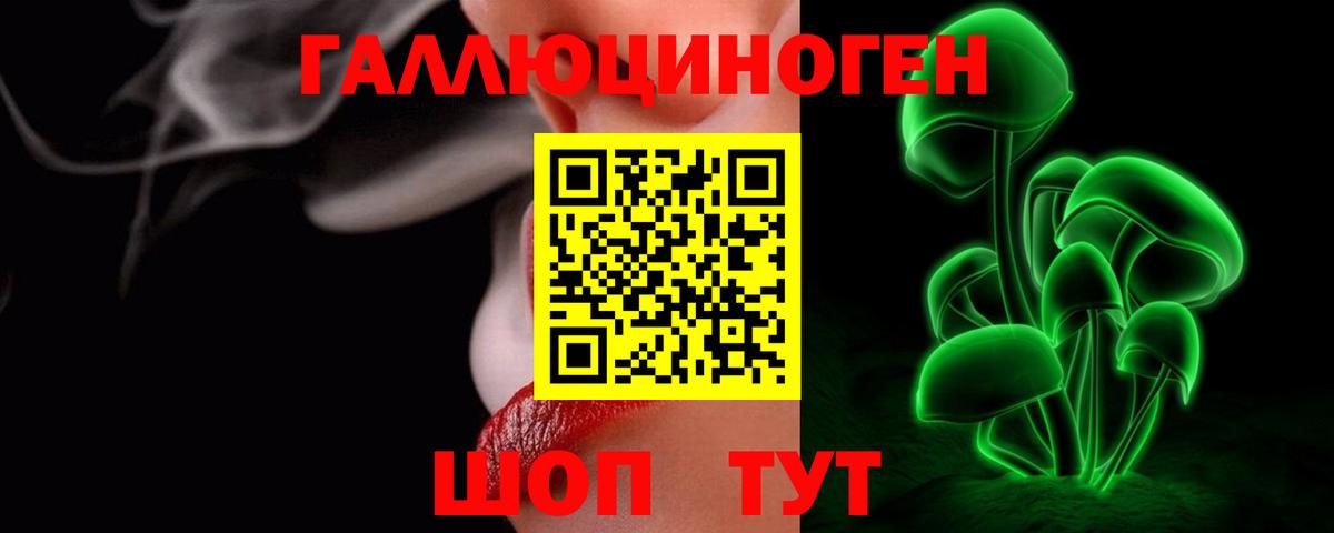 Псилоцибиновые грибы Psilocybe Туймазы